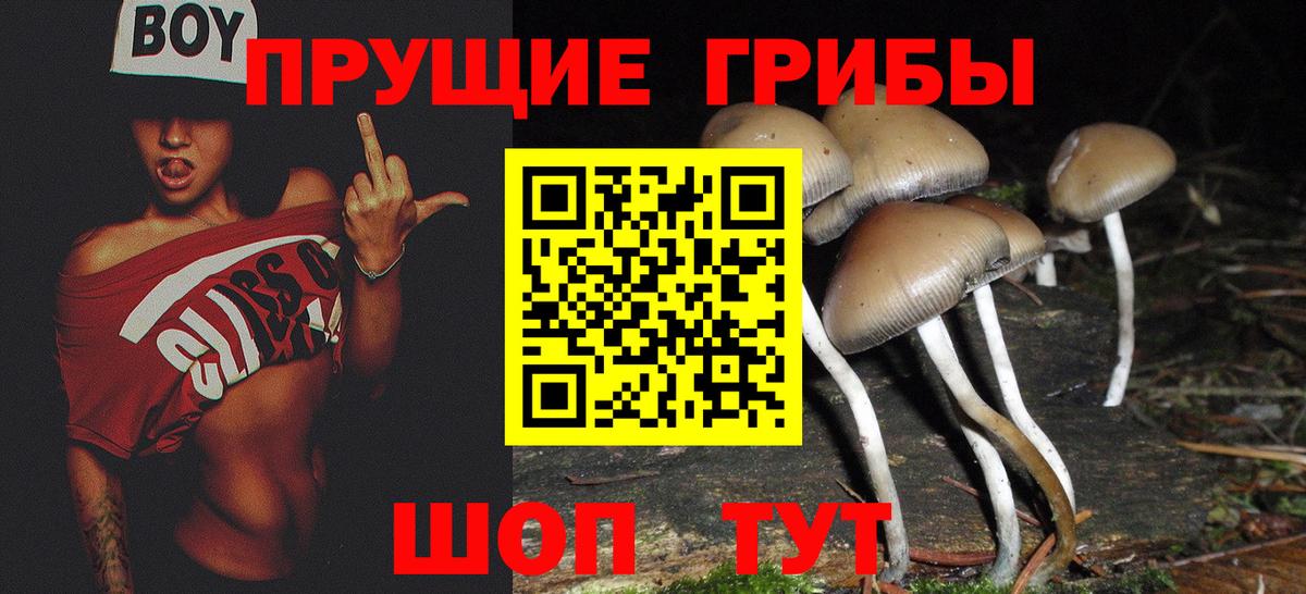 цены наркотик  Псилоцибиновые грибы мухоморы  Вход с VPN  Семилуки 