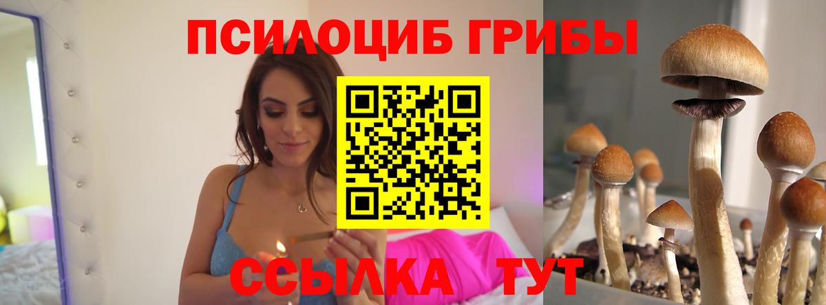 Галлюциногенные грибы MAGIC MUSHROOMS Семилуки